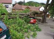 Kwikfynd Tree Cutting Services
ilparpa